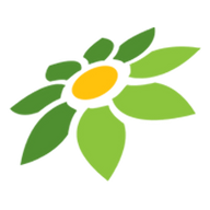 PAPUA BOKEP